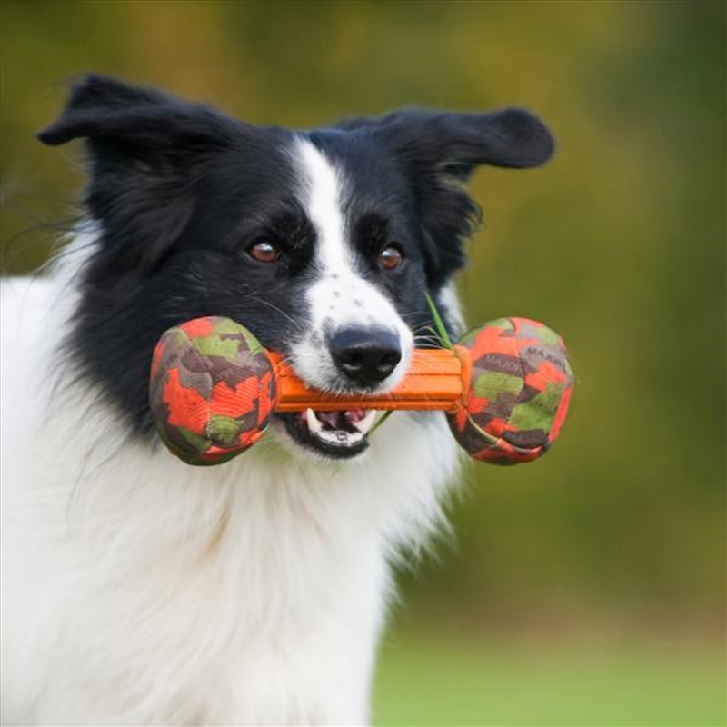 Buy Major Dog Barbell Small Retrieval Toy Online Sanity
