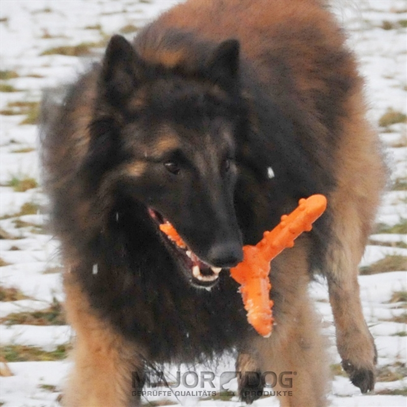 Major Dog Whirl Fetch Toy - Large/Product Detail/Pet Accessories