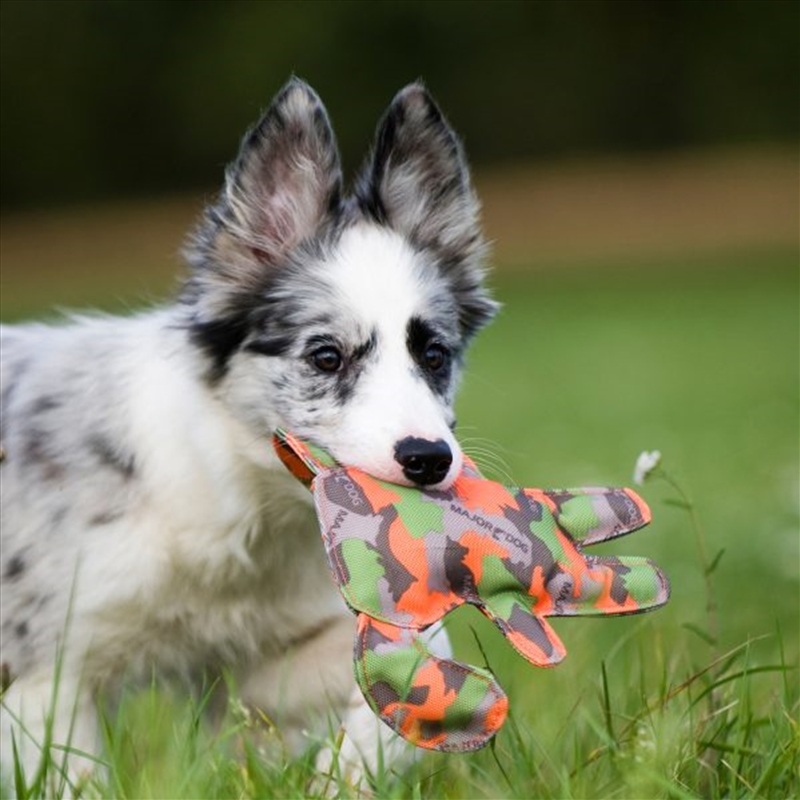 Major Dog Waldi Mini - Floating Toy/Product Detail/Pet Accessories