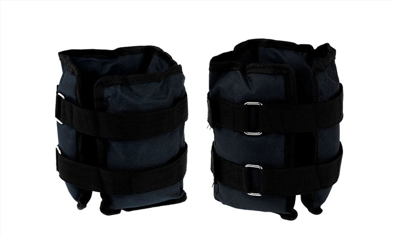 Powertrain Sports Pair 2kg Ankle Weights Home Gym Equipment Wrist Fitness Yoga Training Weights/Product Detail/Gym Accessories