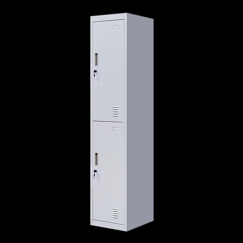 2-Door Vertical Locker for Office Gym Shed School Home Storage/Product Detail/Homewares