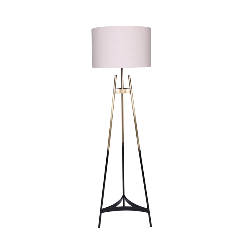 Sarantino Metal Tripod Electric Floor Lamp Gradient Finish/Product Detail/Lighting