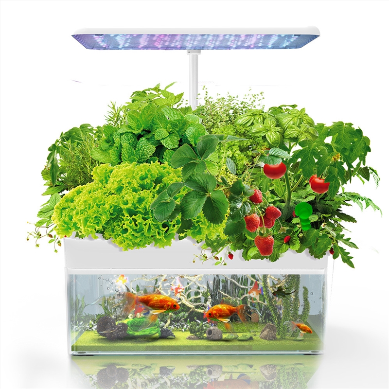 PLANTCRAFT 12 Pod Indoor Hydroponic Growing System with Fish Tank/Product Detail/Outdoor