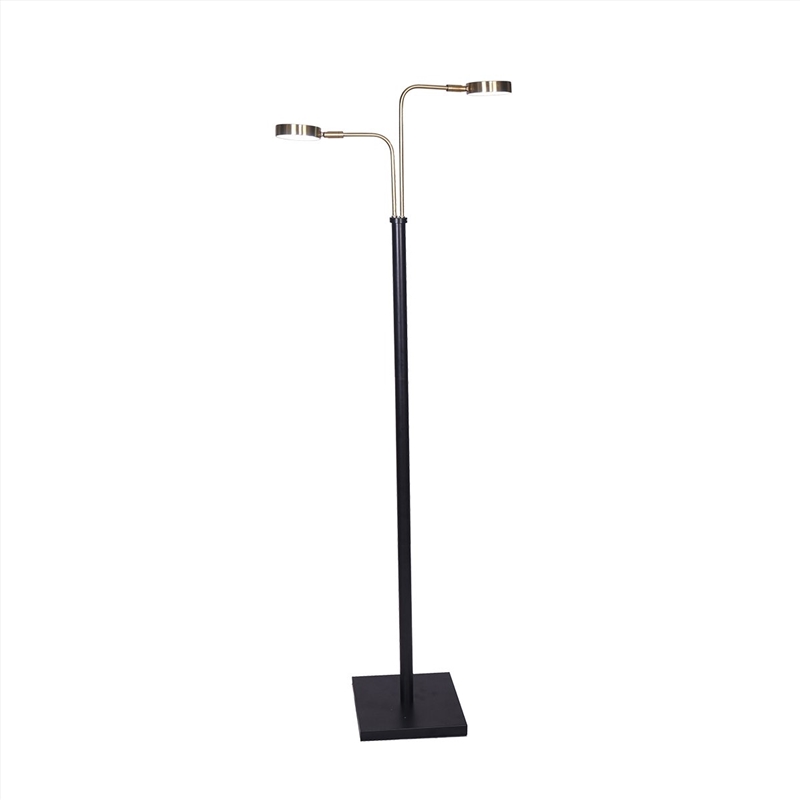 Sarantino LED Metal Floor Lamp with 2 Lights in Brushed Gold and Black Finish/Product Detail/Lighting