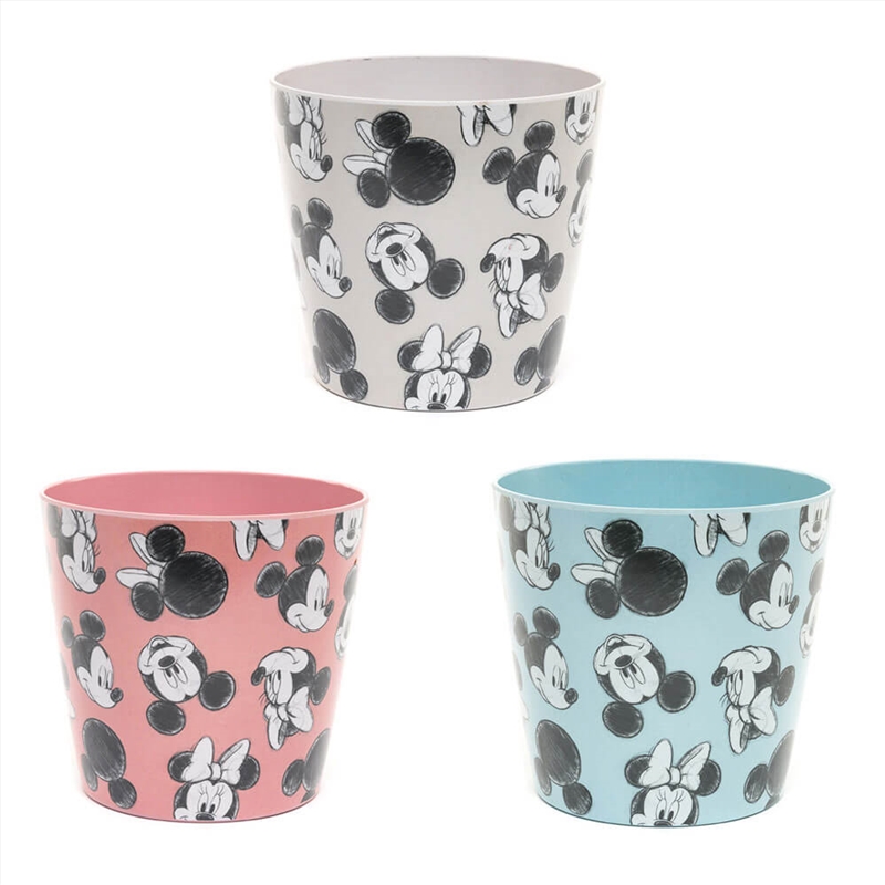 Eco Pot Bamboo - Mickey & Minnie Mouse (Set Of 3)/Product Detail/Homewares