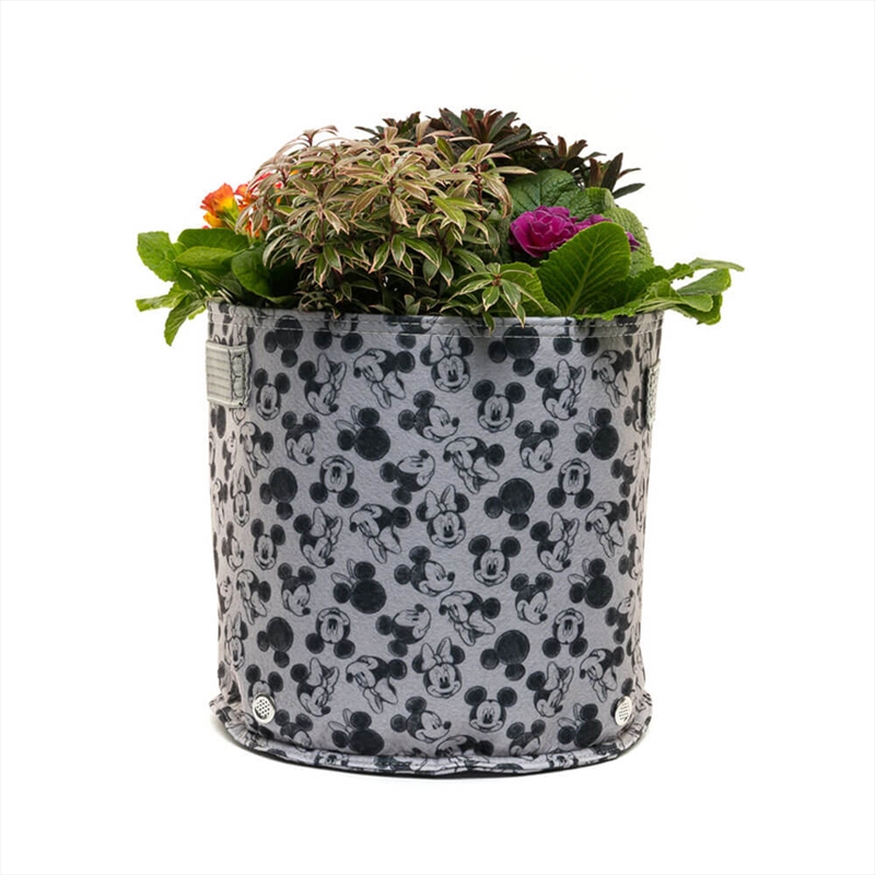 Eco Pot Fabric - Mickey & Minnie Mouse Small Grey/Product Detail/Homewares