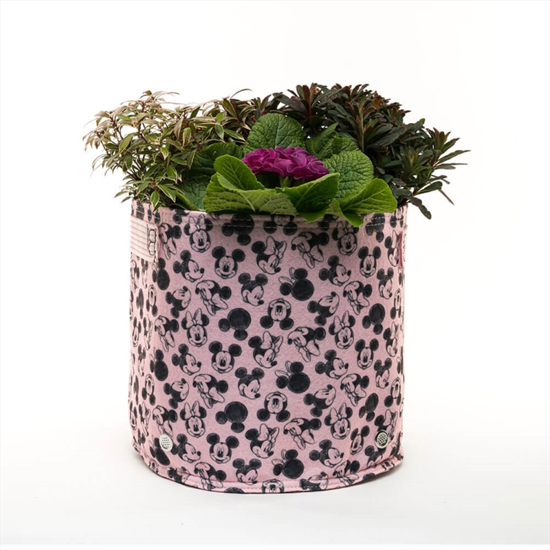 Eco Pot Fabric - Mickey & Minnie Mouse Small Pink/Product Detail/Homewares