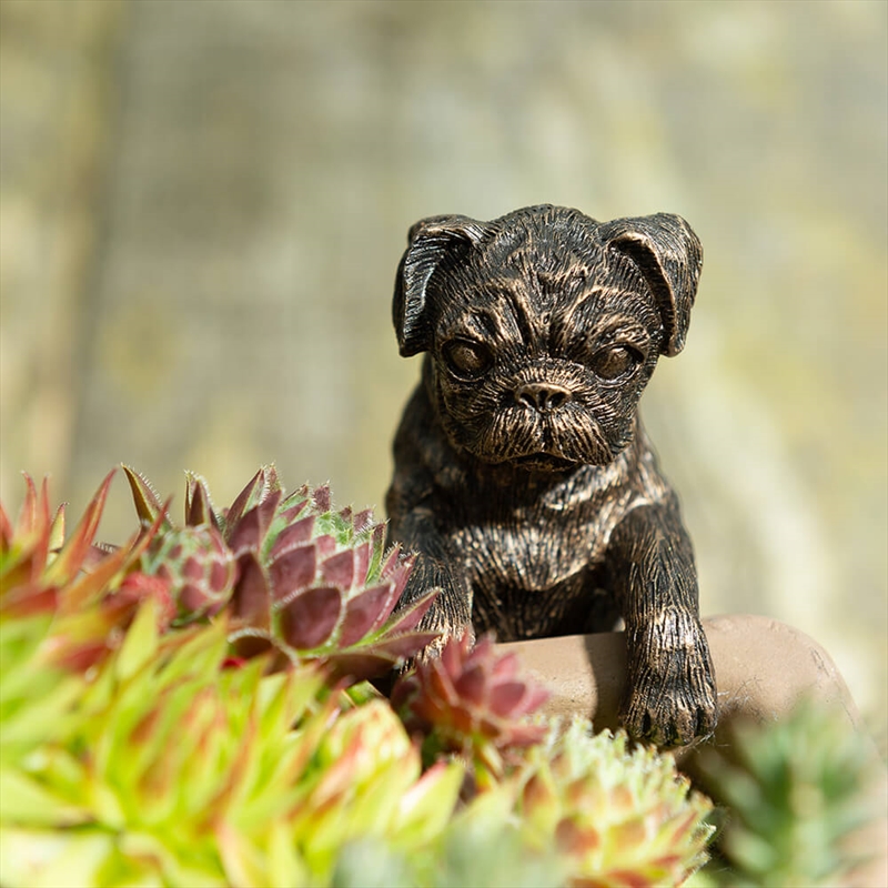 Pot Buddies - Antique Bronze Pug/Product Detail/Decor