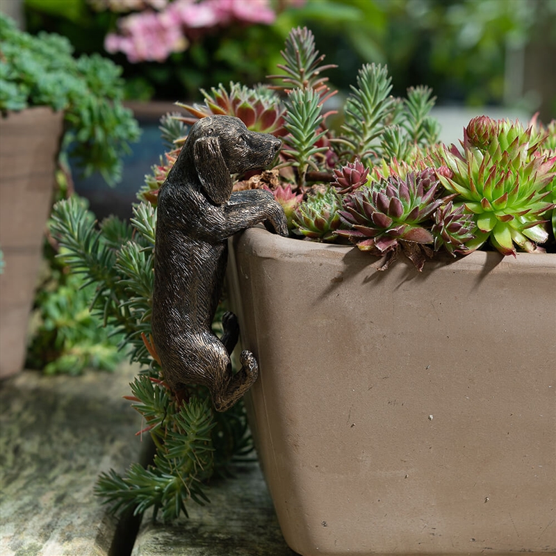 Pot Buddies - Antique Bronze Dachshund/Product Detail/Decor