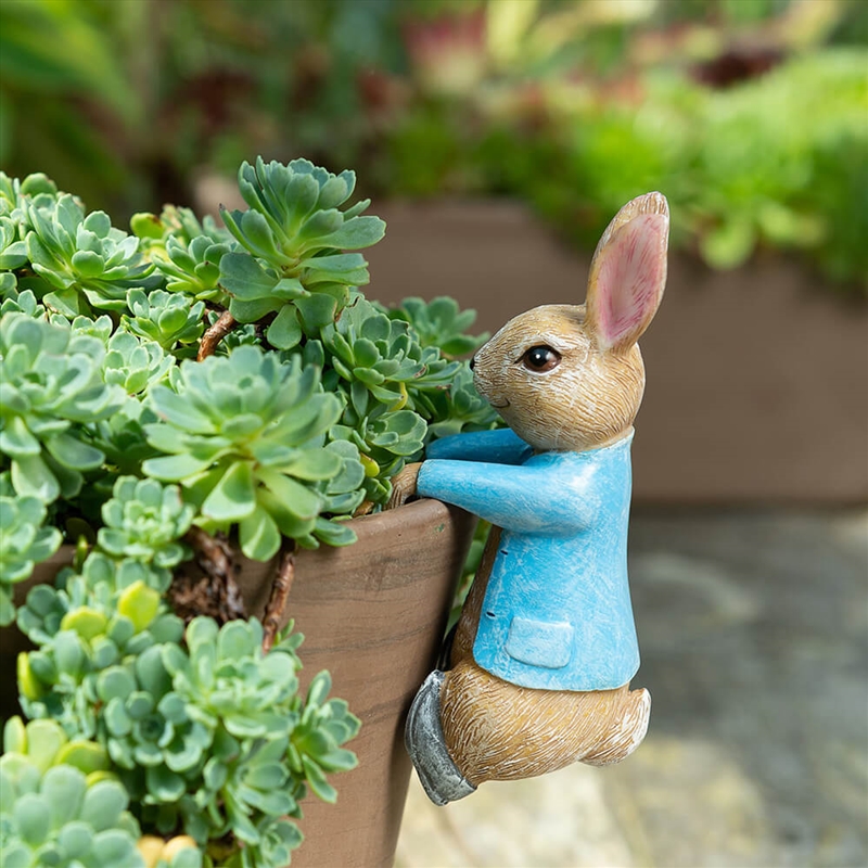 Pot Buddies - Beatrix Potter Peter Rabbit Hanging On The Pot/Product Detail/Decor