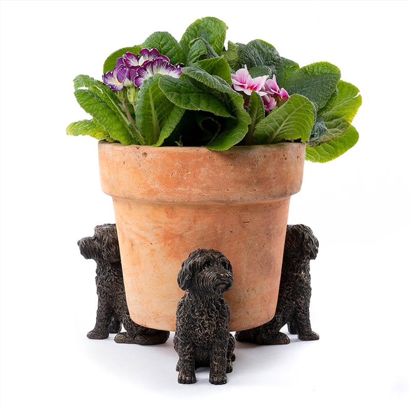 Potty Feet - Antique Bronze Cockapoo (Set Of 3)/Product Detail/Decor