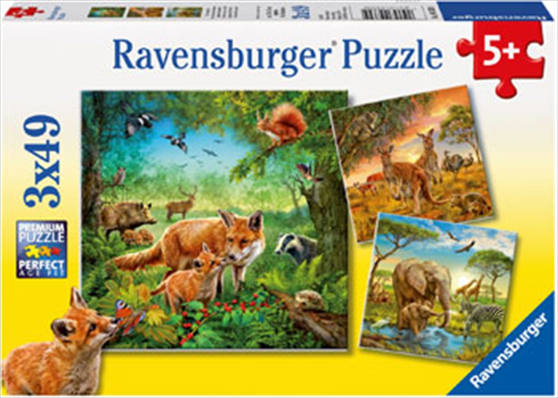 Animals Of The Earth 3x49 Piece/Product Detail/Jigsaw Puzzles