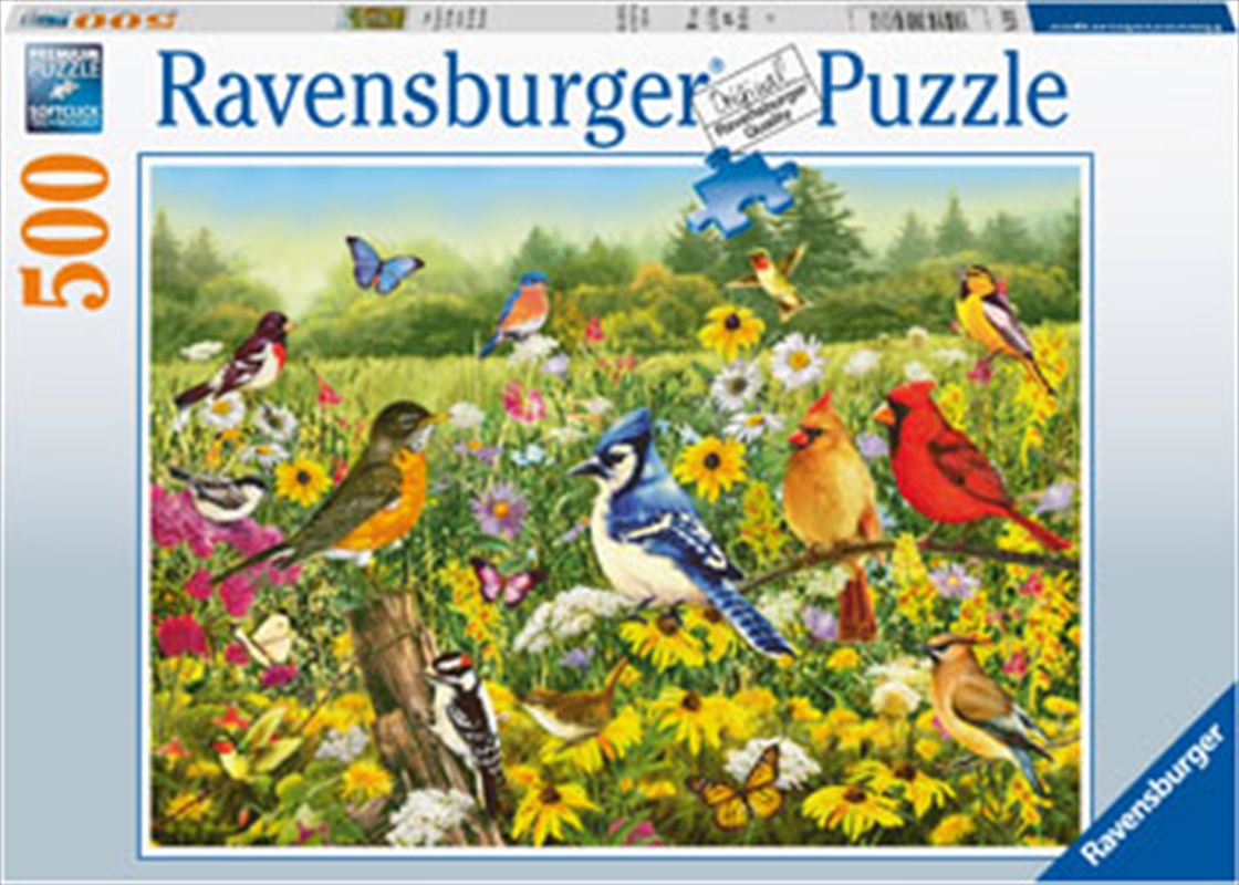 Birds In The Meadow 500 Piece/Product Detail/Jigsaw Puzzles