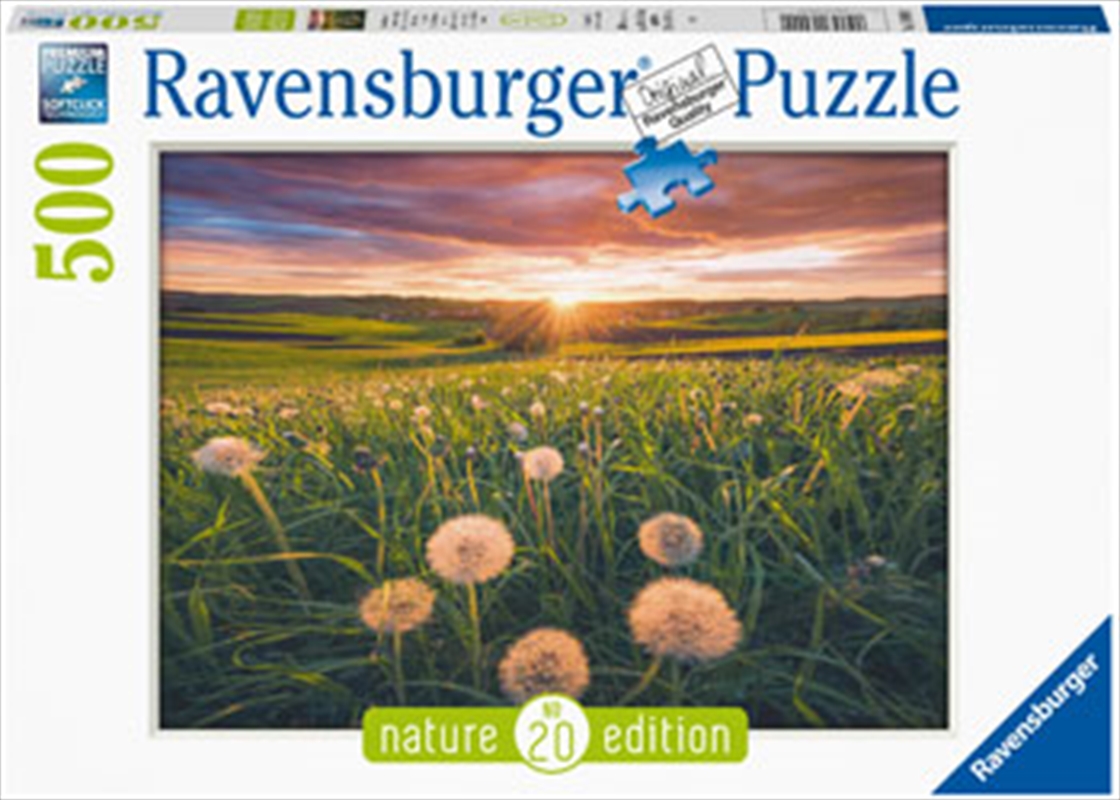 Dandelions At Sunset Puzzle 500 Piece/Product Detail/Jigsaw Puzzles