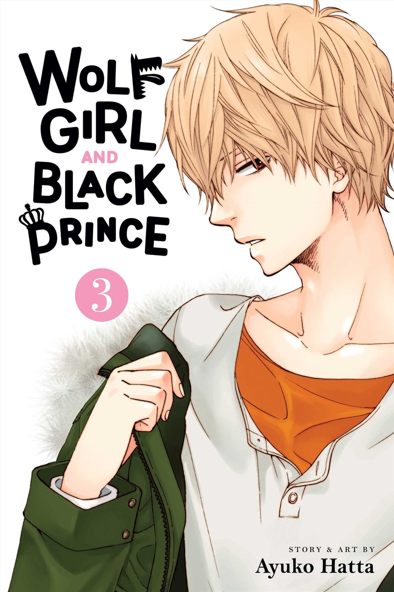 Wolf Girl and Black Prince, Vol. 3/Product Detail/Manga