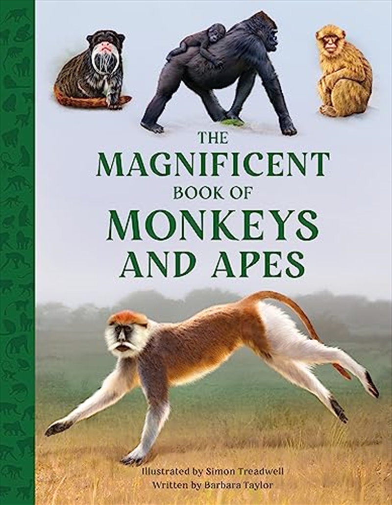 Magnificent Book Of Monkeys And Apes/Product Detail/Reading