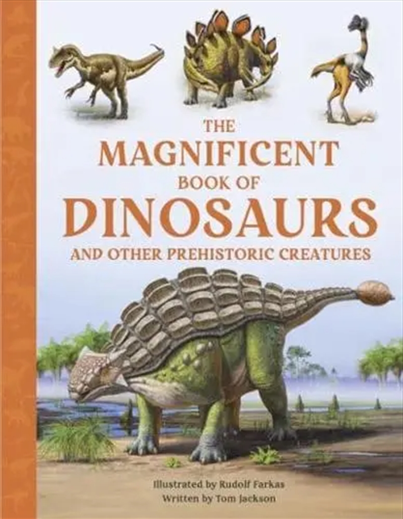 Magnificent Book Of Dinosaurs/Product Detail/Reading