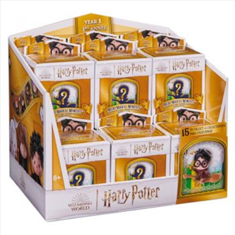Harry Potter Collectible Single Pack assorted (Sent At Random)/Product Detail/Toys