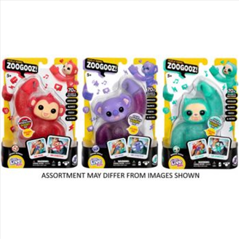 Little Live Pets Hug n Hang Zoogooz Single Pack assorted (Sent At Random)/Product Detail/Toys