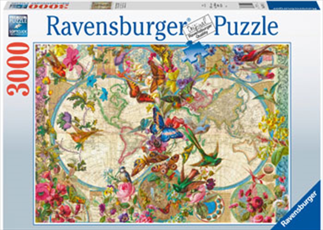 Flora & Fauna World Map 3000 Piece/Product Detail/Jigsaw Puzzles