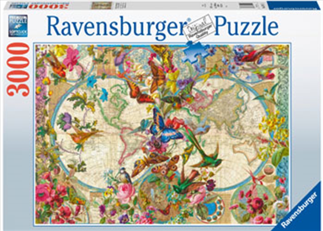 Flora & Fauna World Map 3000 Piece/Product Detail/Jigsaw Puzzles