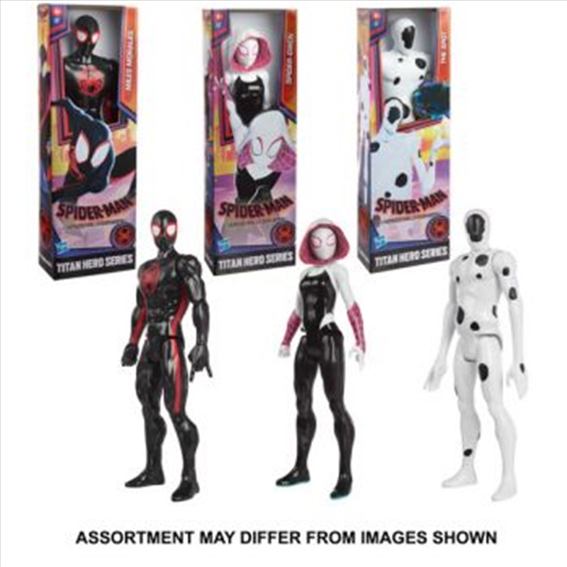 Spiderman Verse Movie Titan Hero assorted (Sent At Random)/Product Detail/Toys