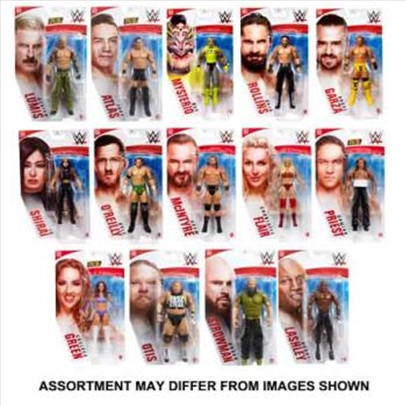 WWE Basic Figure assorted (Sent At Random)/Product Detail/Toys