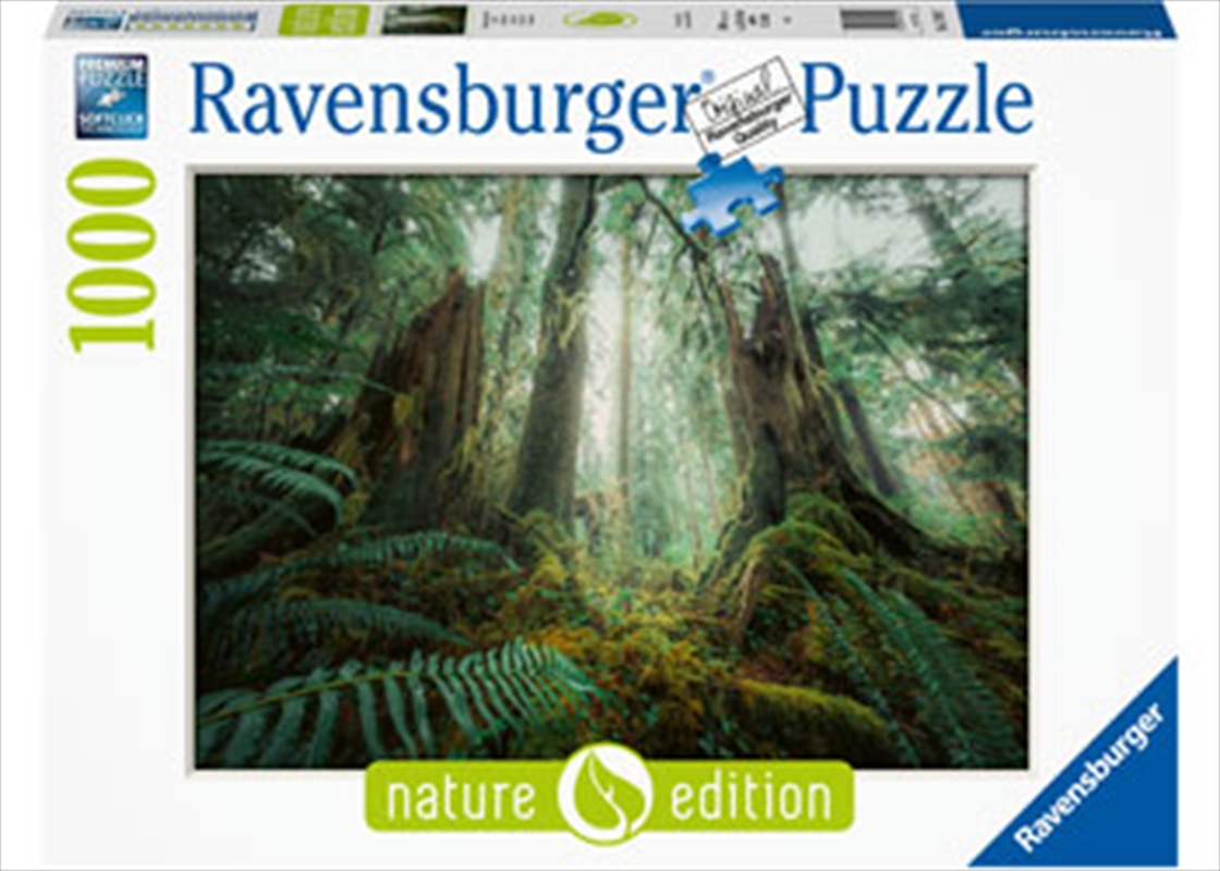 In The Forest 1000 Piece/Product Detail/Jigsaw Puzzles
