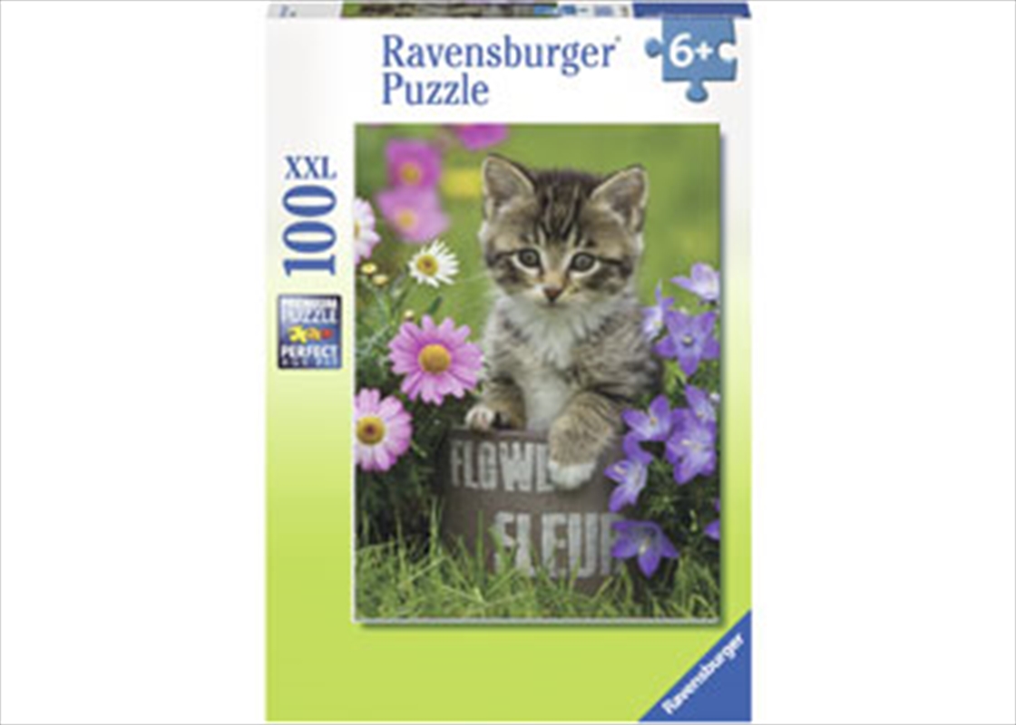 Kitten Among The Flowers Puzzle 100 Piece/Product Detail/Jigsaw Puzzles