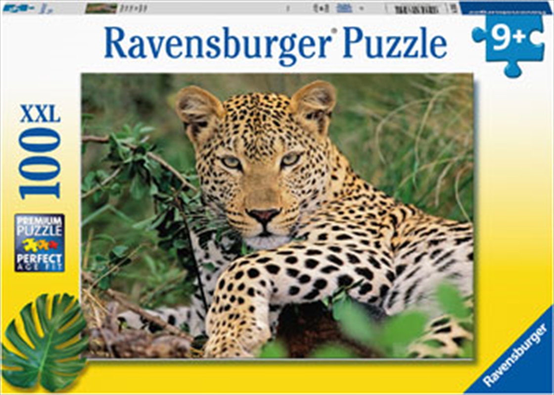 Lounging Leopard 100 Piece/Product Detail/Jigsaw Puzzles