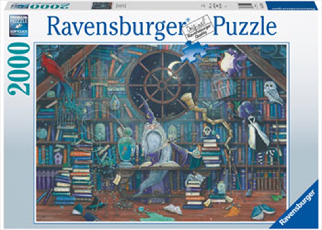 Magical Merlin Puzzle 2000 Piece/Product Detail/Jigsaw Puzzles