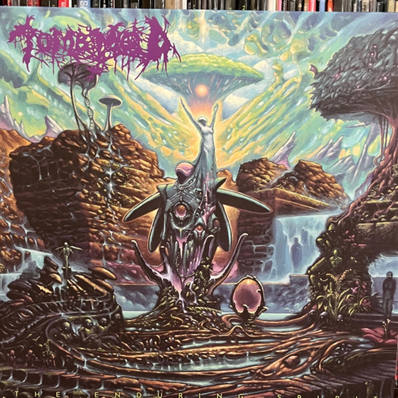 Enduring Spirit/Product Detail/Rock/Pop