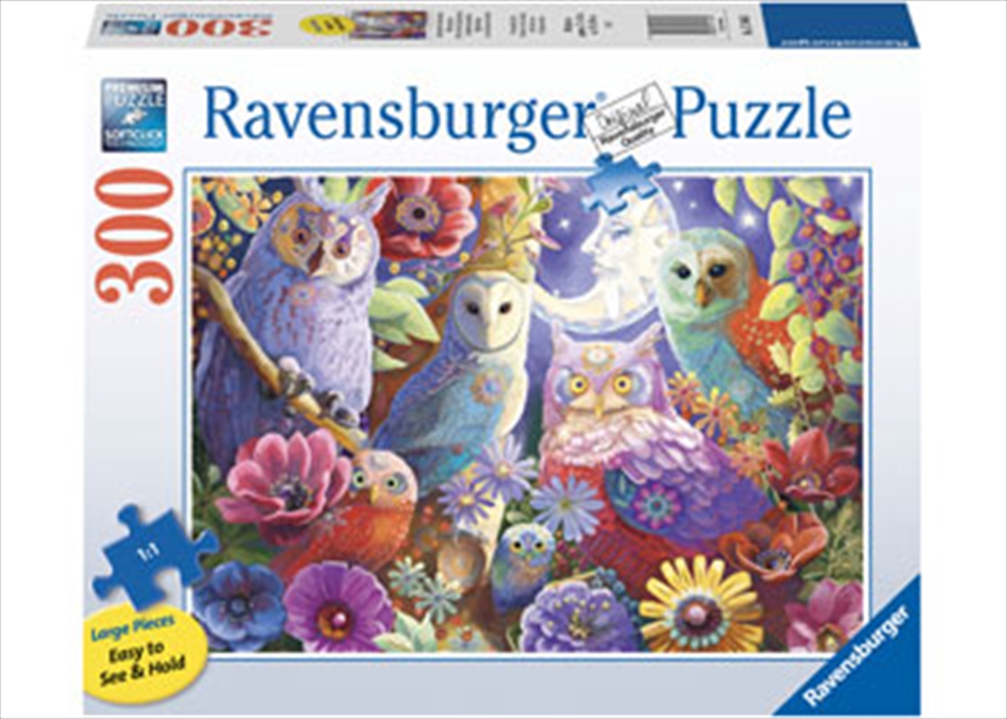 Night Owl Hoot 300 Pieces LF/Product Detail/Jigsaw Puzzles