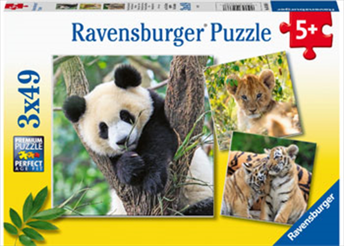 Panda, Lion And Tiger 3x49 Piece/Product Detail/Jigsaw Puzzles