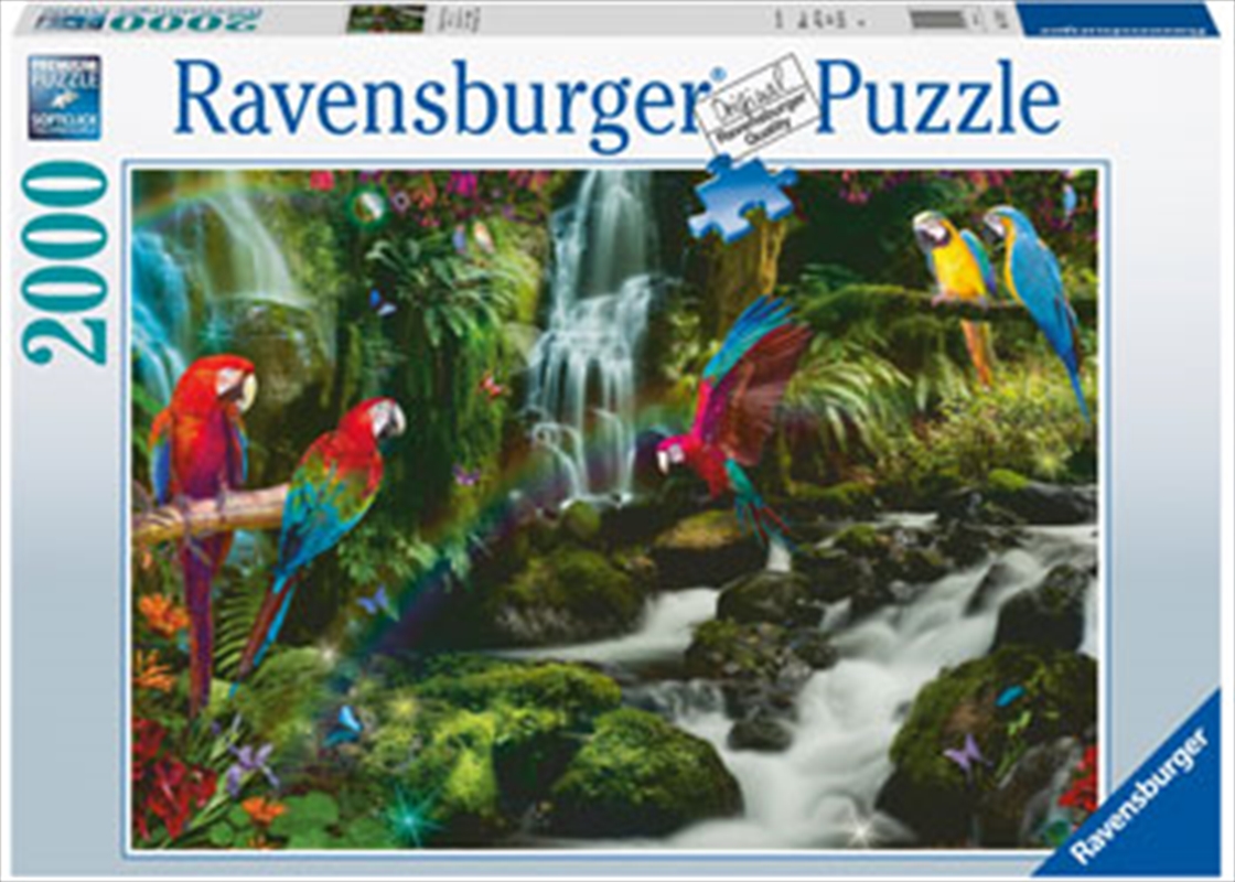 Parrots Paradise Puzzle 2000 Piece/Product Detail/Jigsaw Puzzles