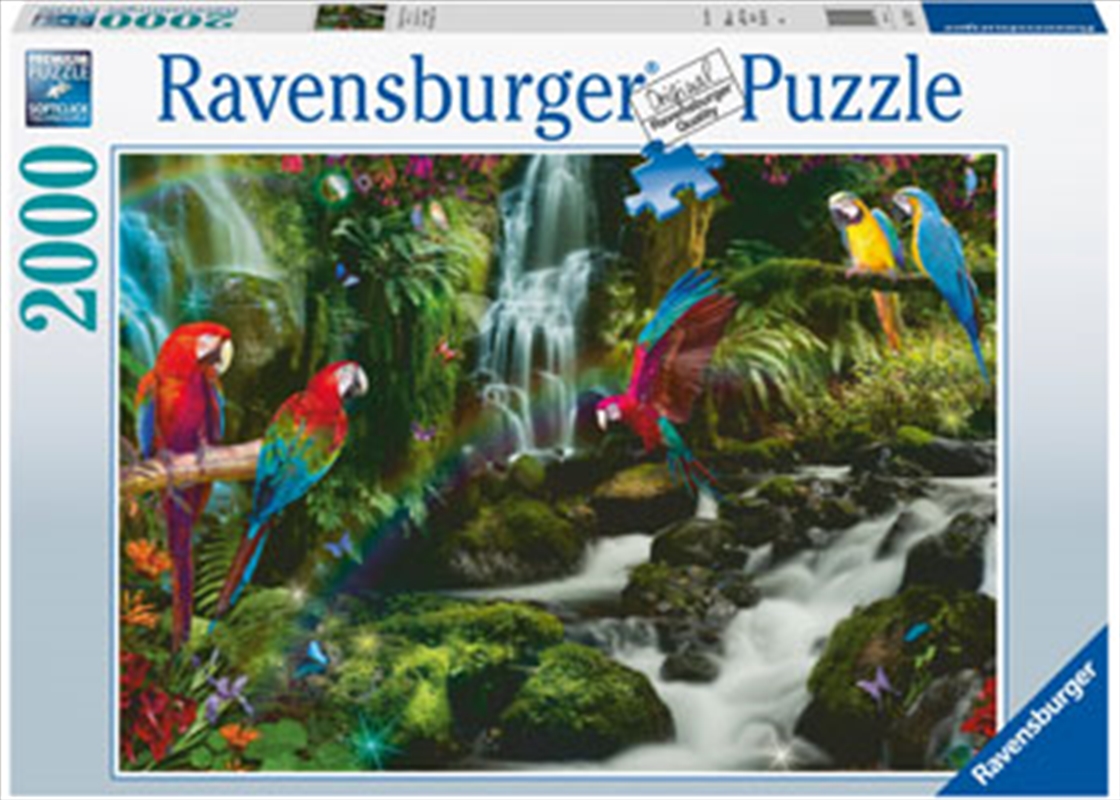 Parrots Paradise Puzzle 2000 Piece/Product Detail/Jigsaw Puzzles