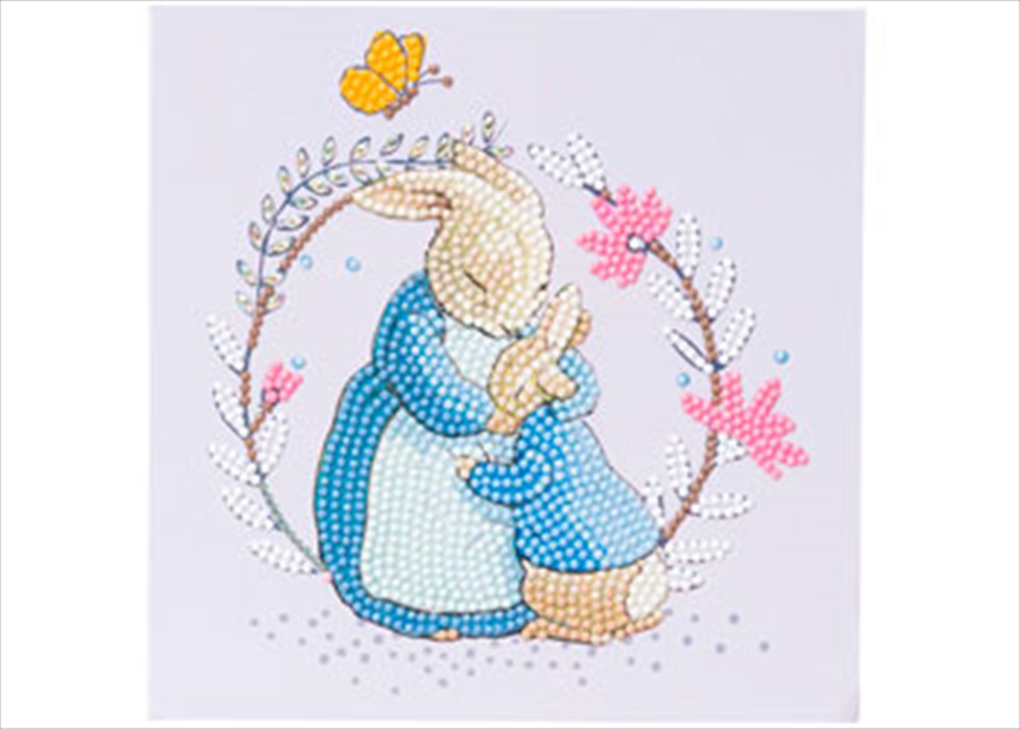 Peter Rabbit And Mum 18x18cm Card/Product Detail/Arts & Craft