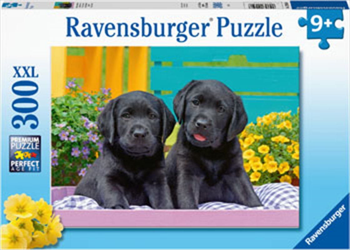Puppy Life Puzzle 300 Piece/Product Detail/Nature and Animals