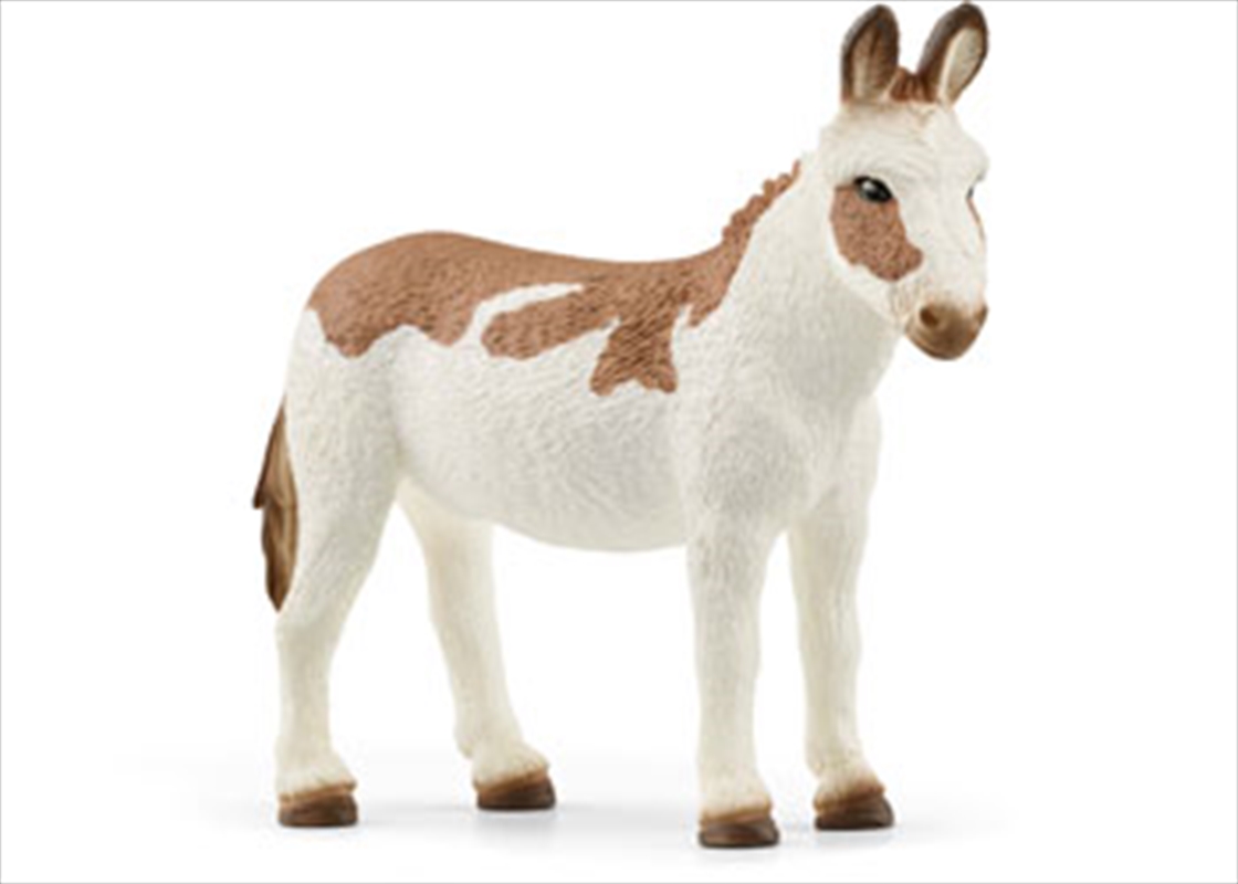 American Spotted Donkey/Product Detail/Toys