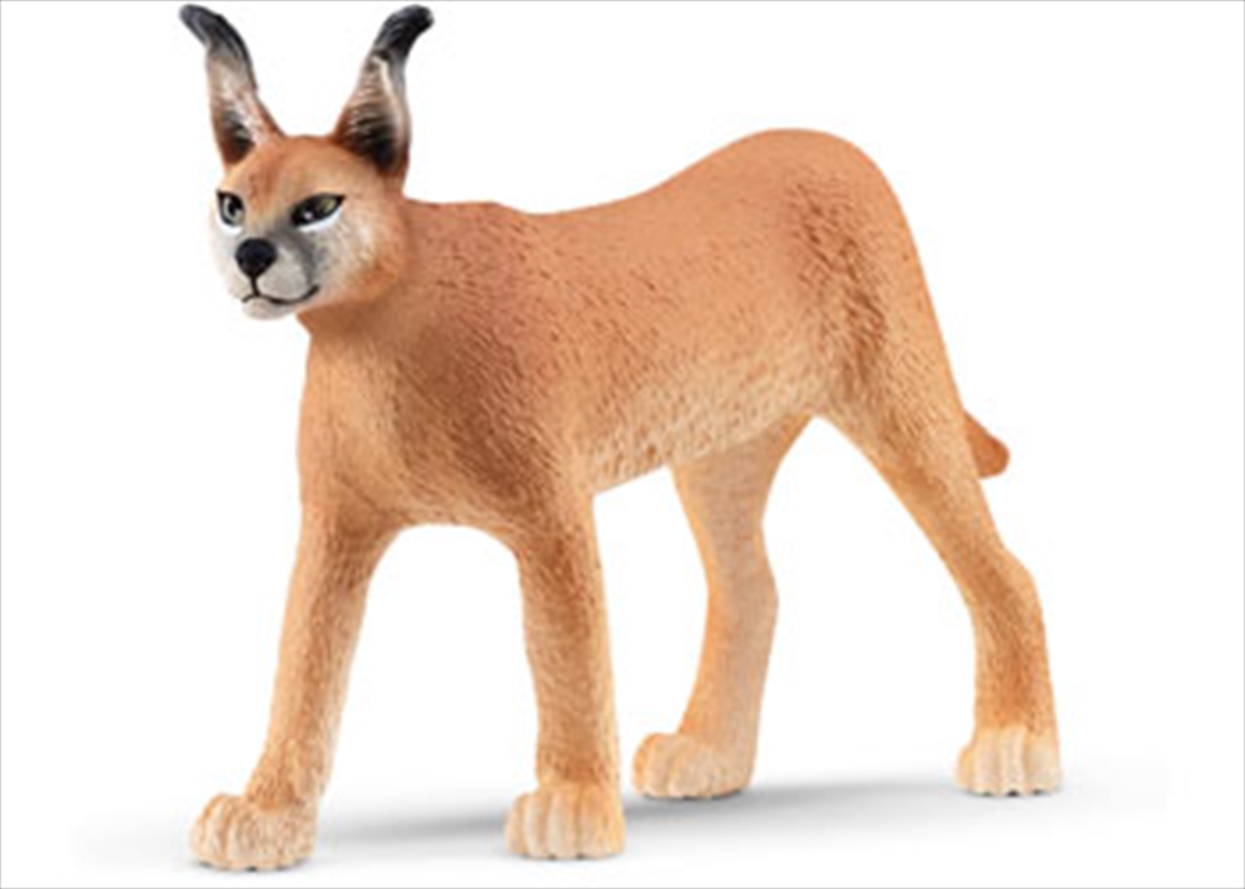 Caracal Female/Product Detail/Toys
