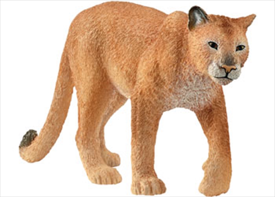 Cougar/Product Detail/Toys