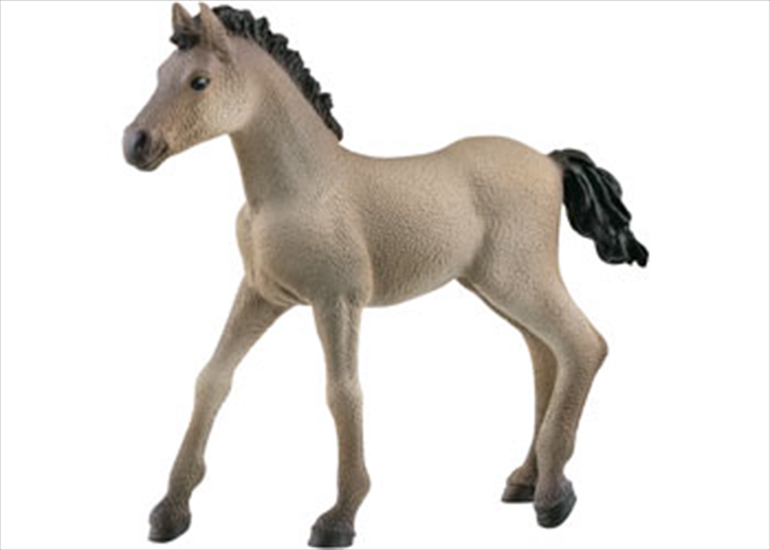 Criollo Definitivo Foal/Product Detail/Toys