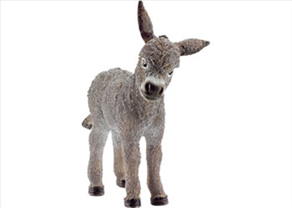 Donkey Foal/Product Detail/Toys