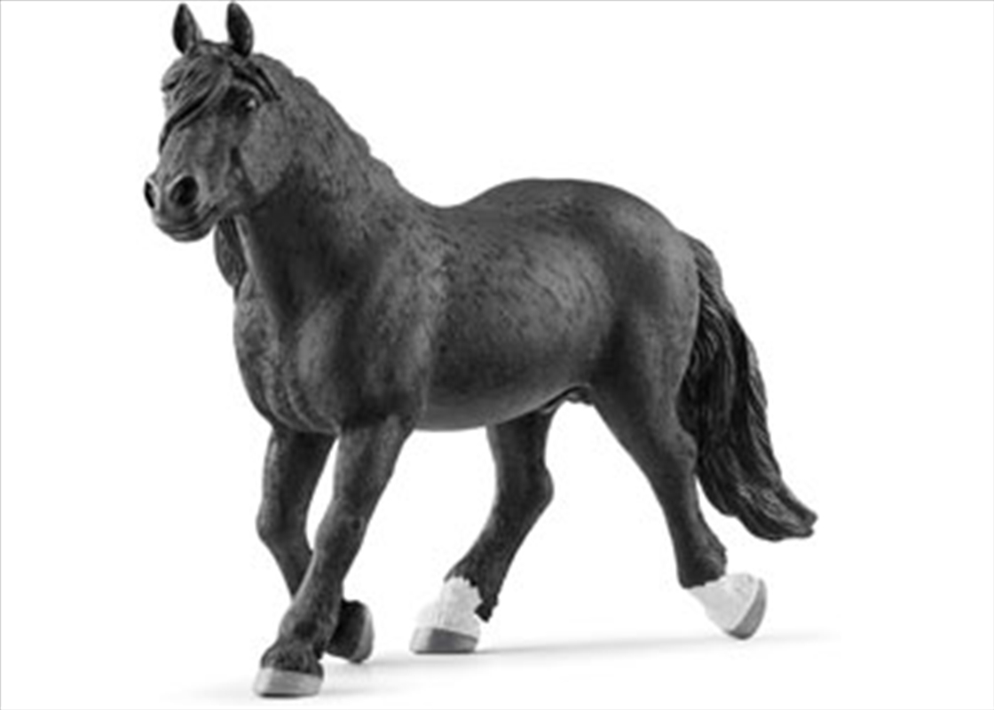 Noriker Stallion/Product Detail/Toys
