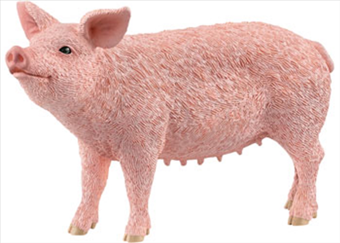 Pig/Product Detail/Toys