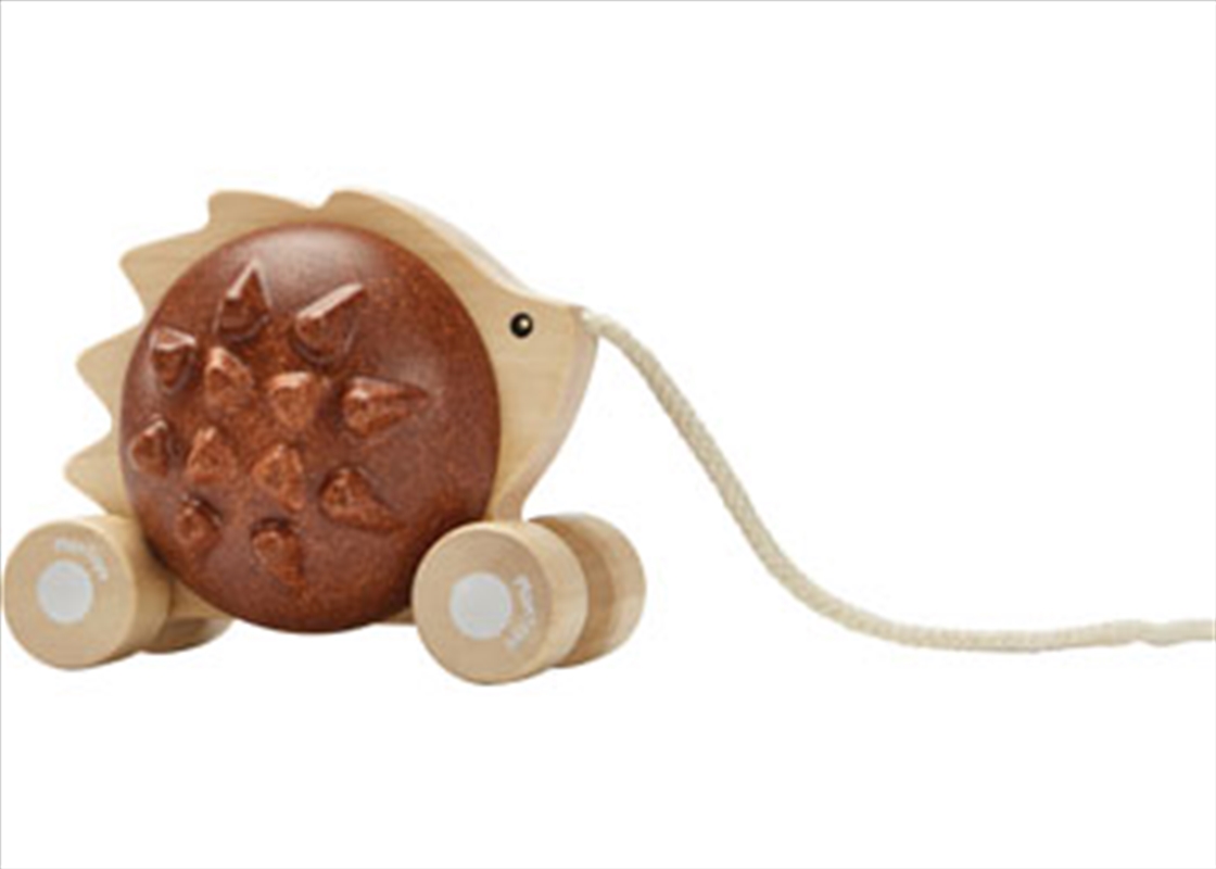 Pull-Along Hedgehog -  Brown/Product Detail/Toys