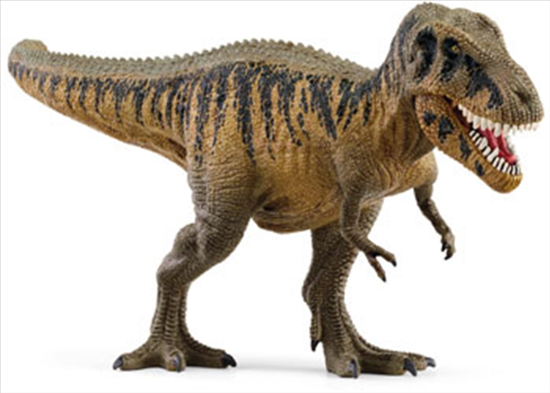 Tarbosaurus/Product Detail/Toys