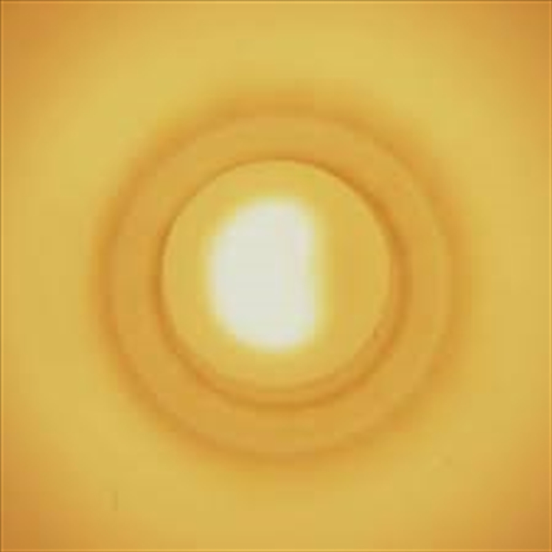 Monstersol/Product Detail/Dance