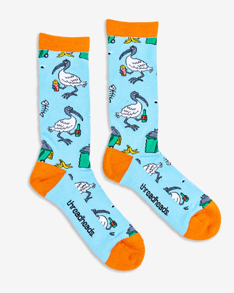 Bin Chicken Socks/Product Detail/Socks