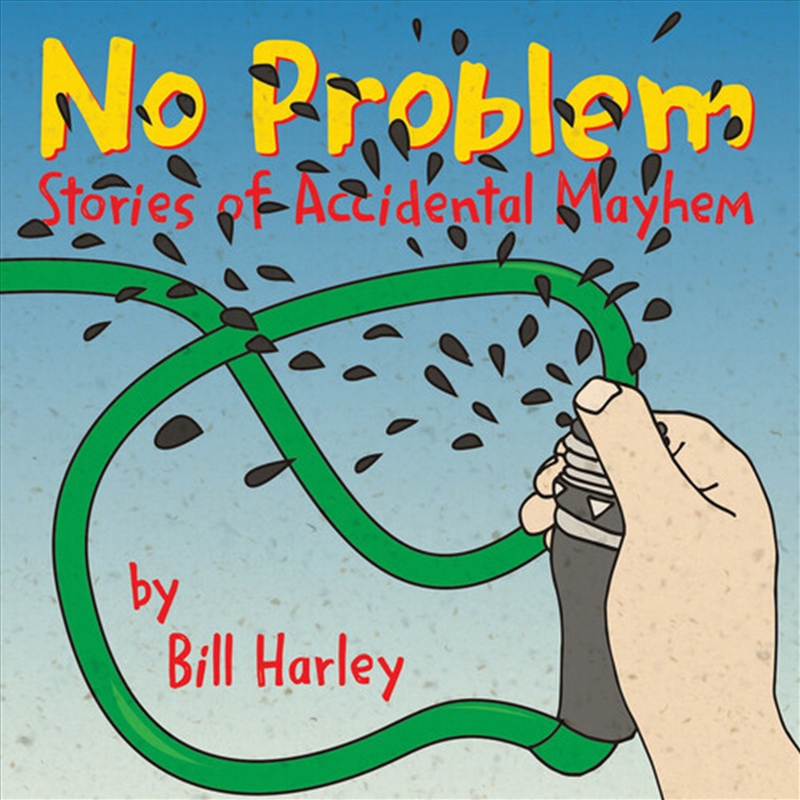 No Problem: Stores Of Accident/Product Detail/Childrens
